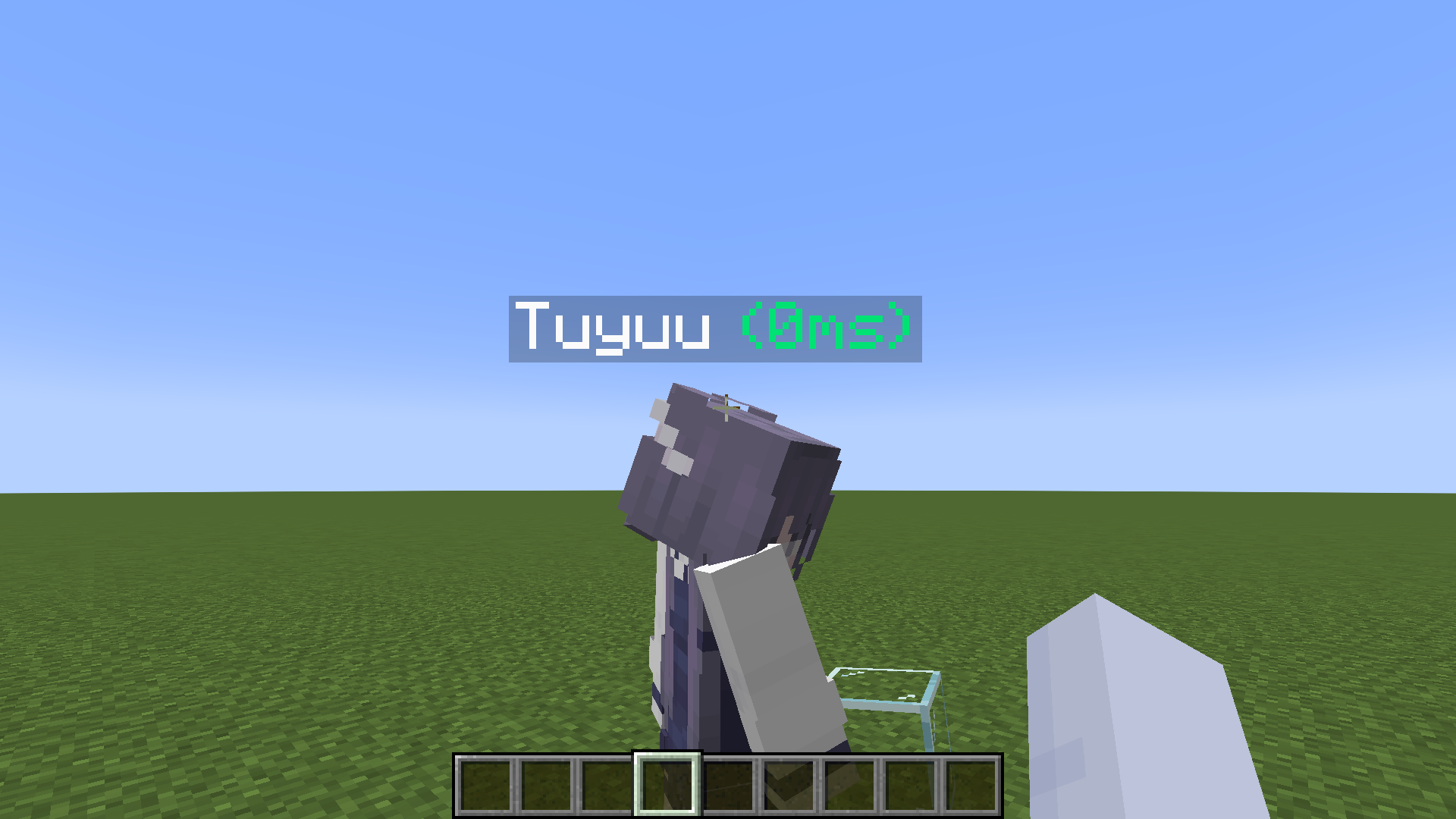 PingNameTags