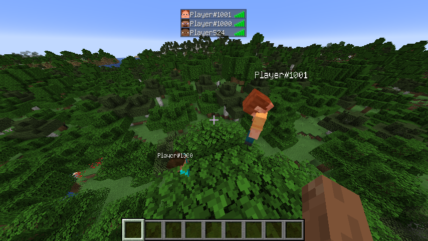 PlayerNameHider