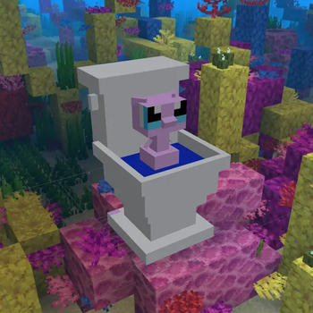 Pokeblocks