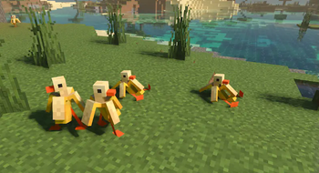 Practical Pets