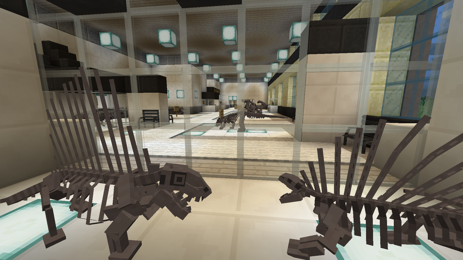 Prehistoric Nature Fossils