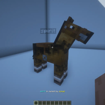 Private Horses