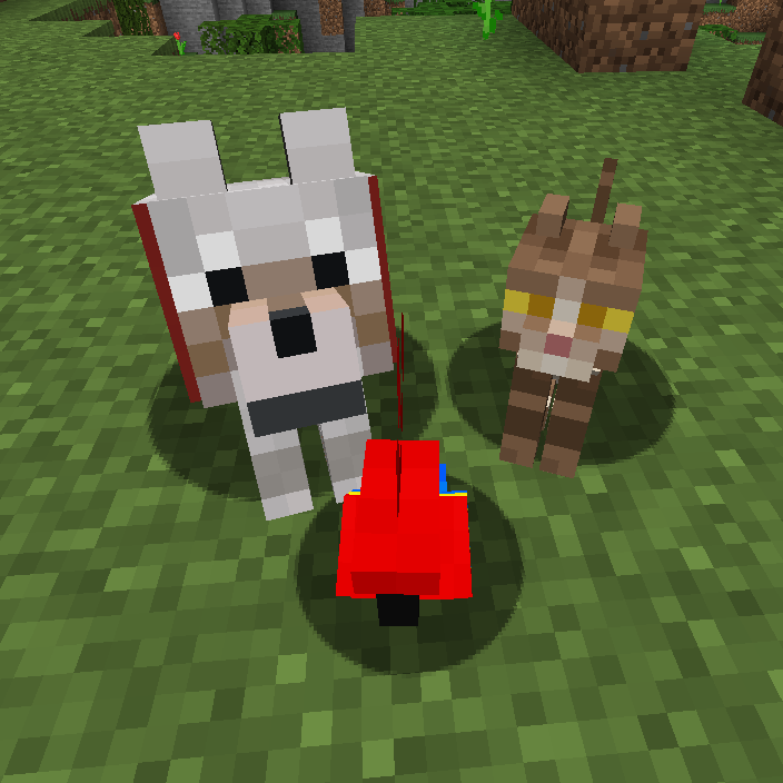 Project: Save the Pets!
