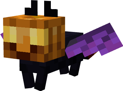 Pumpkin Cat