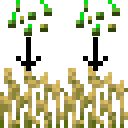 quickreplant