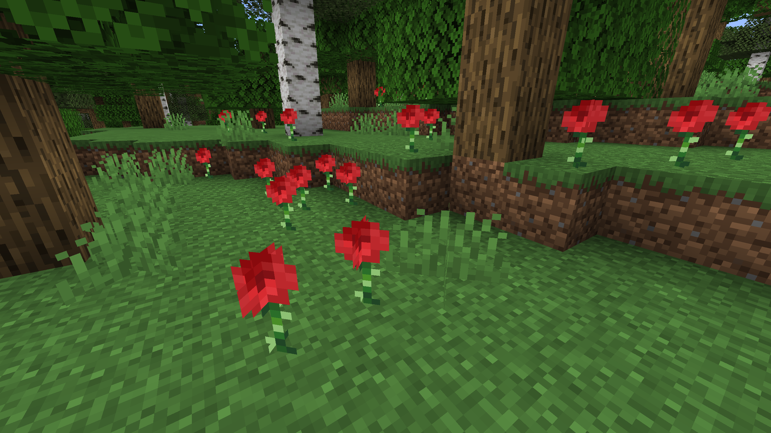 Roses
