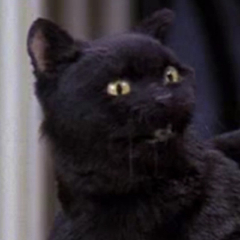 Salem