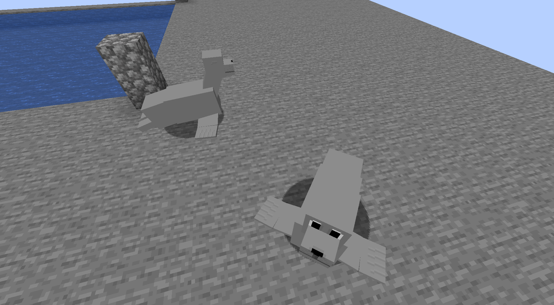 Seals