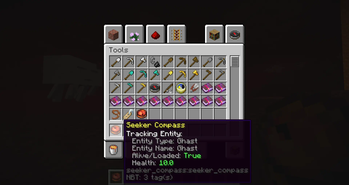 Seeker Compass