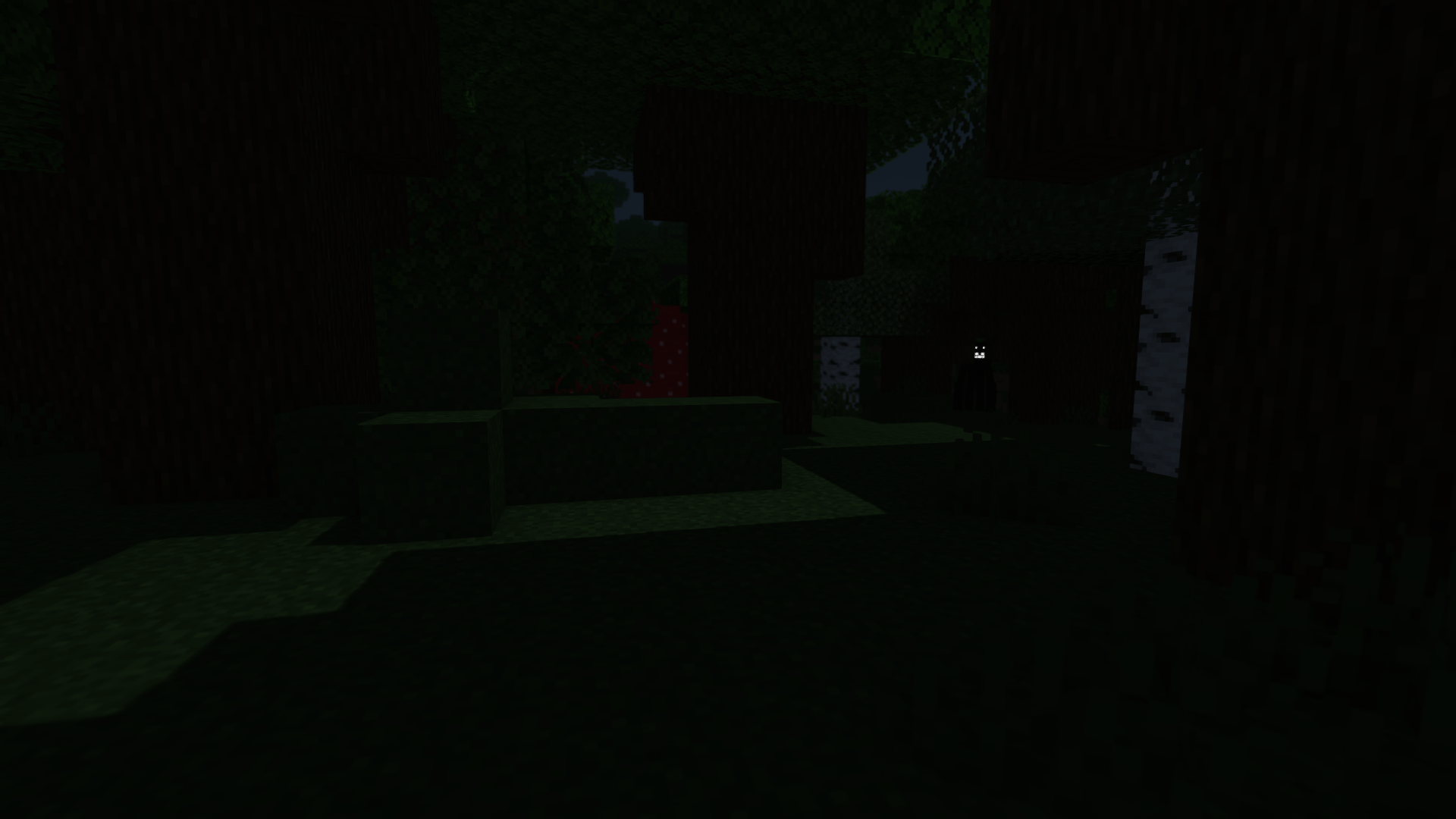 Shadow Stalker