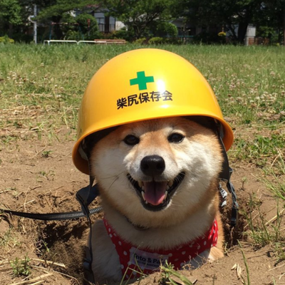 Shibapi