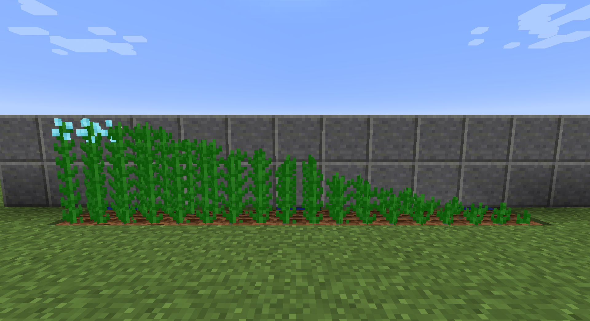 Simple Flax