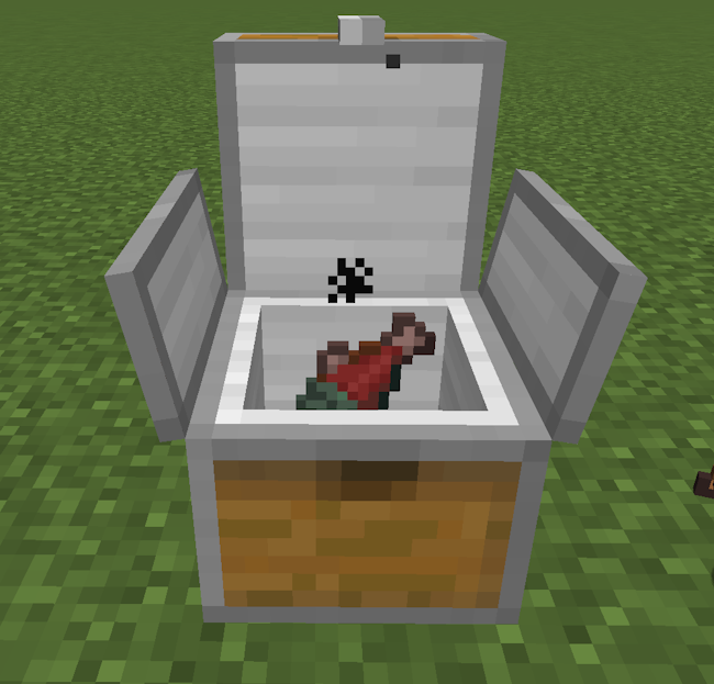 Solar Cooker