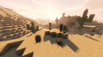 Spawn Animations Compats