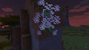 Spawn Animations