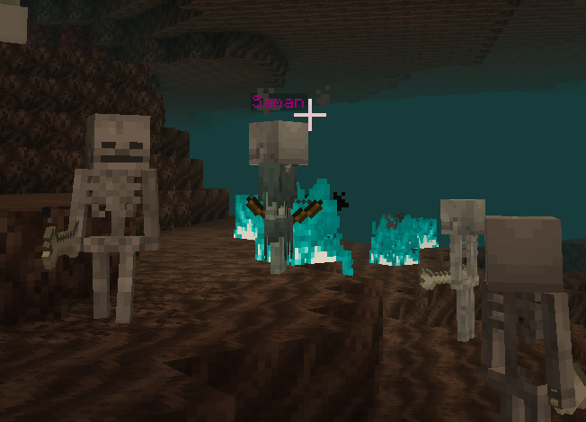 Special Mobs