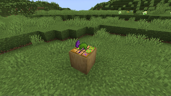 Table Top Craft