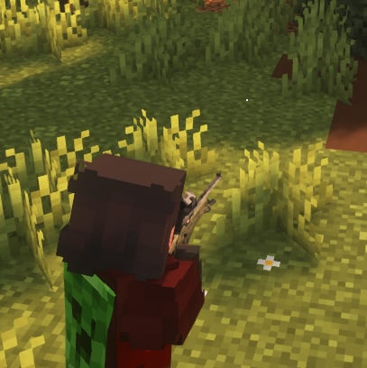 TaCZ: Leawind's Third Person Compat