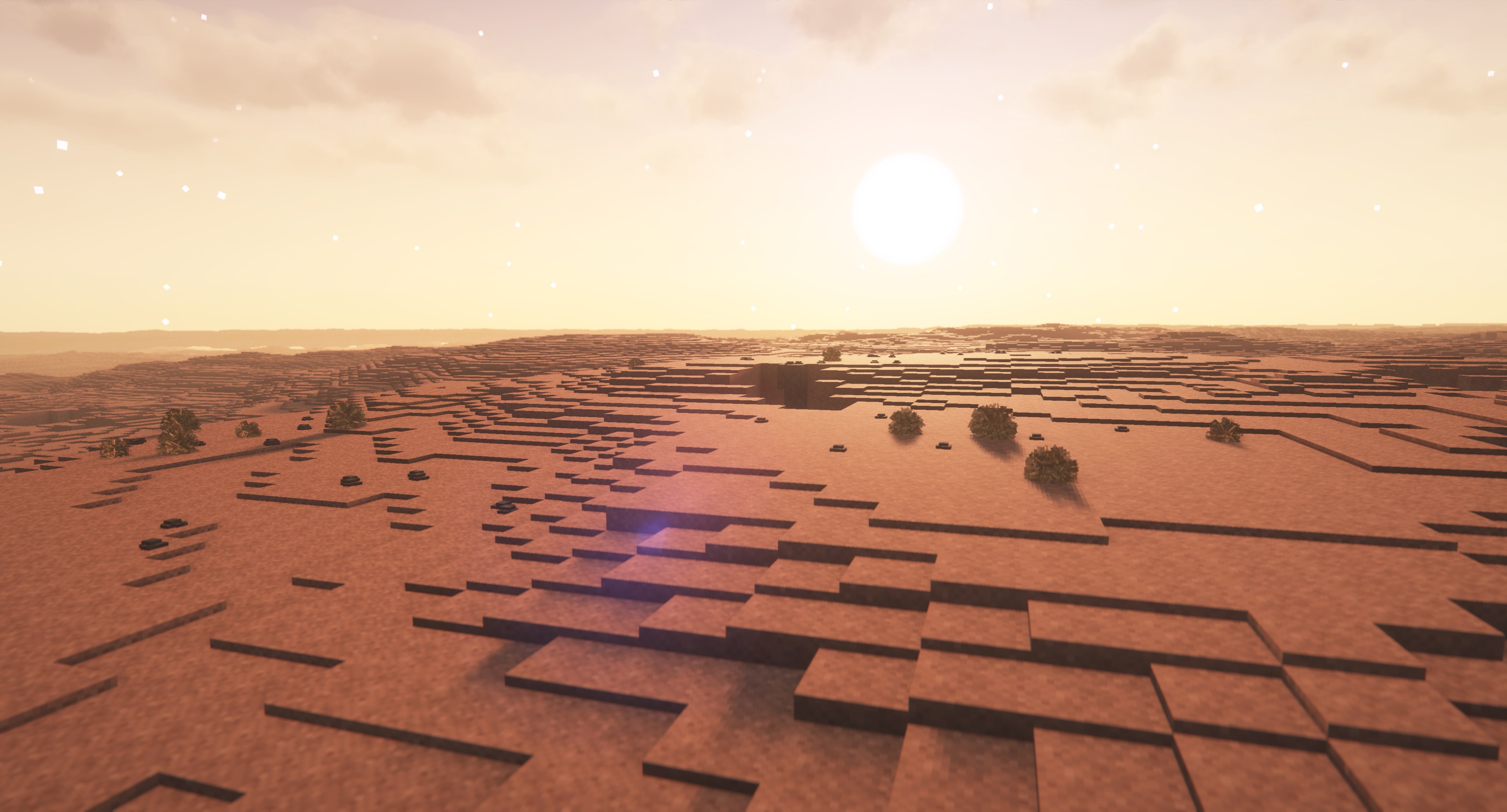 TFC Tumbleweed
