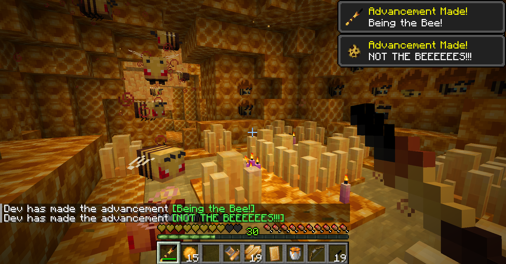 The Bumblezone (NeoForge/Forge)