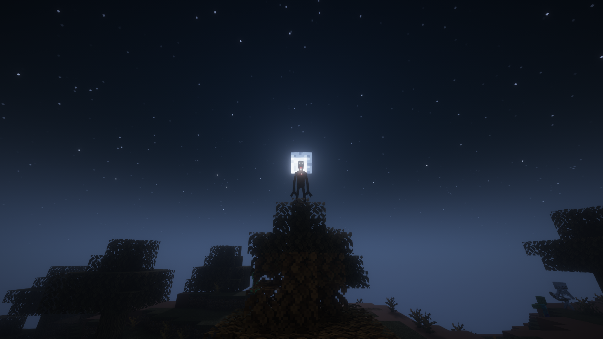 The Man From The Fog