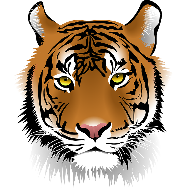 Tiger Kus'