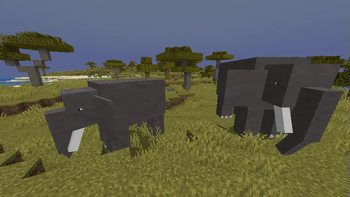 Toms Mobs