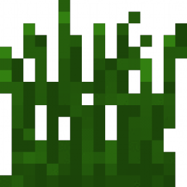 Touch Grass Reminder