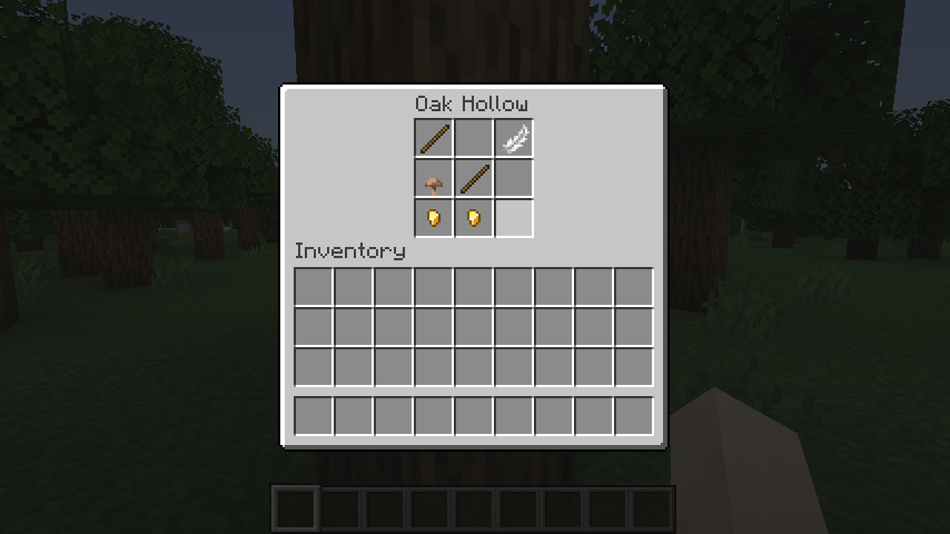 Tree Hollows