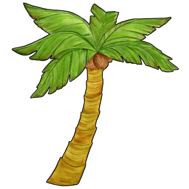 Tropicraft