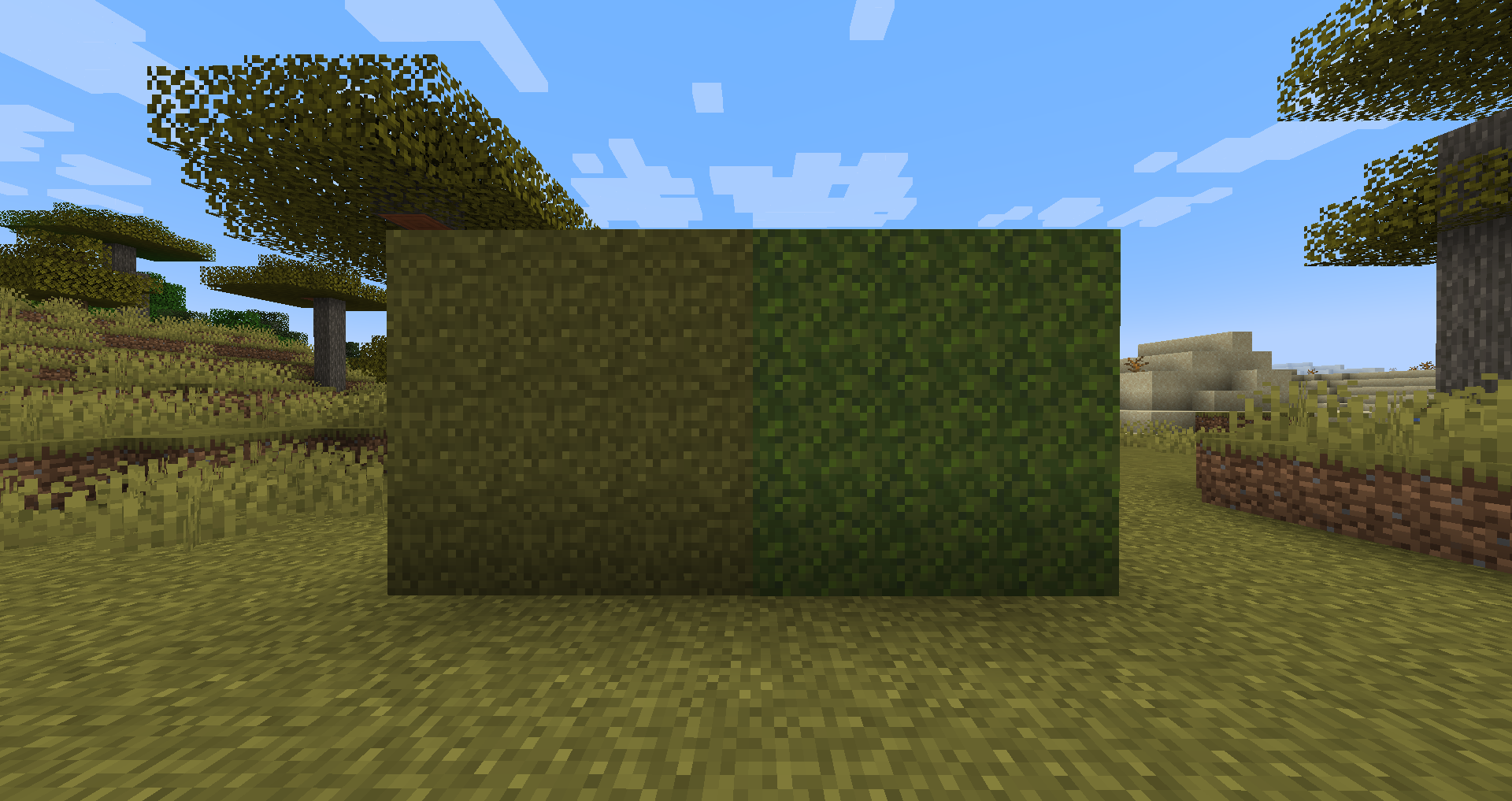 Turf