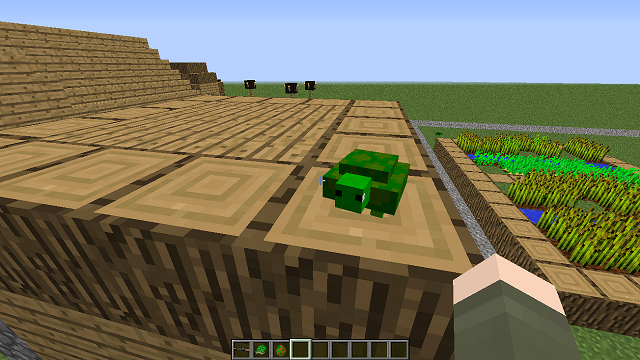 Turtle Gun