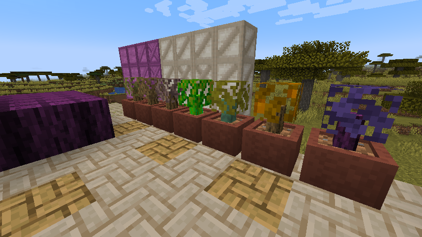 Unicopia Blockus Addon