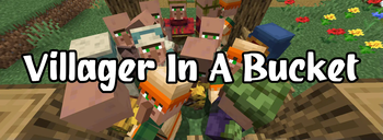 Villager In A Bucket