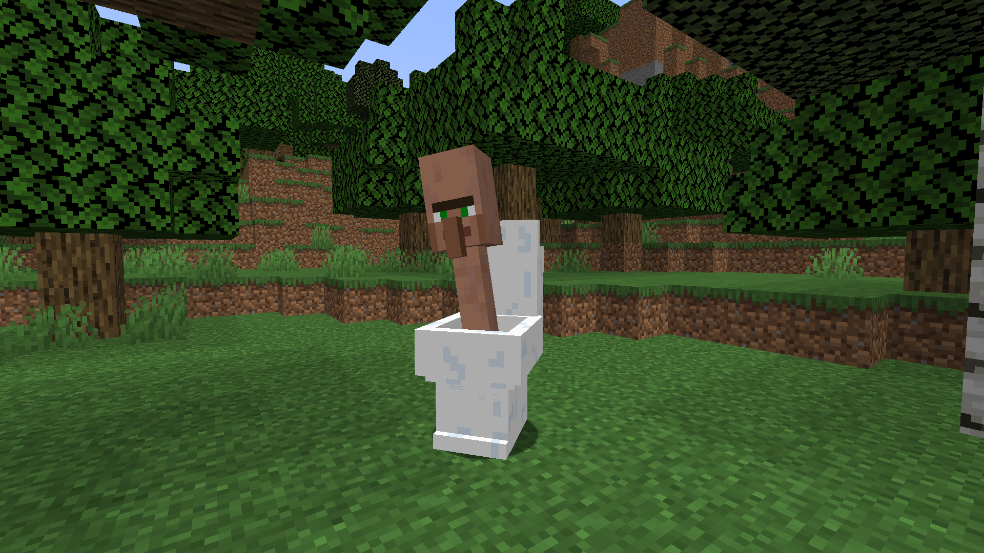 villager toilet invasion