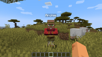 Villager Names