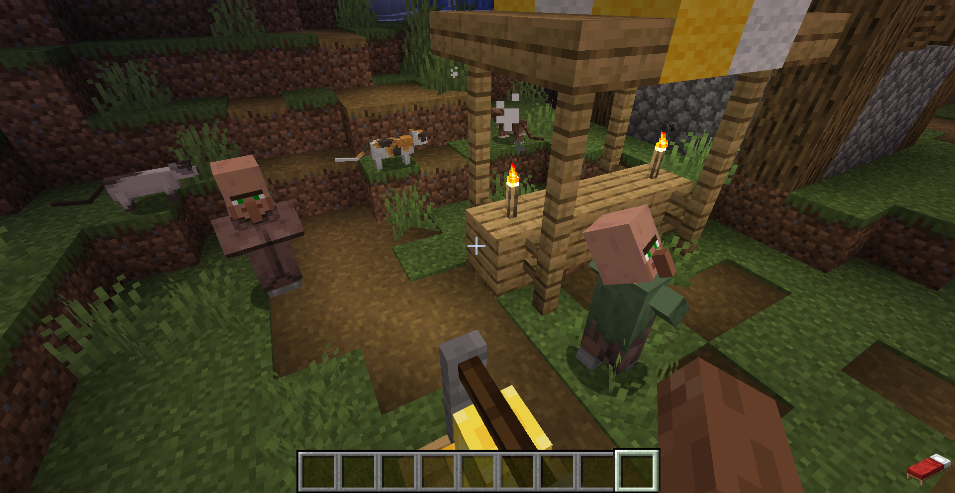 Villager Timetable