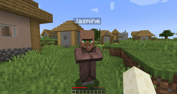 Custom Villager Names