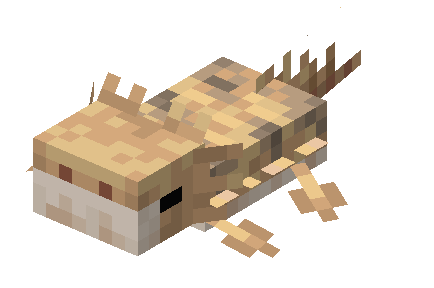 WHAT THE GECK'O!?