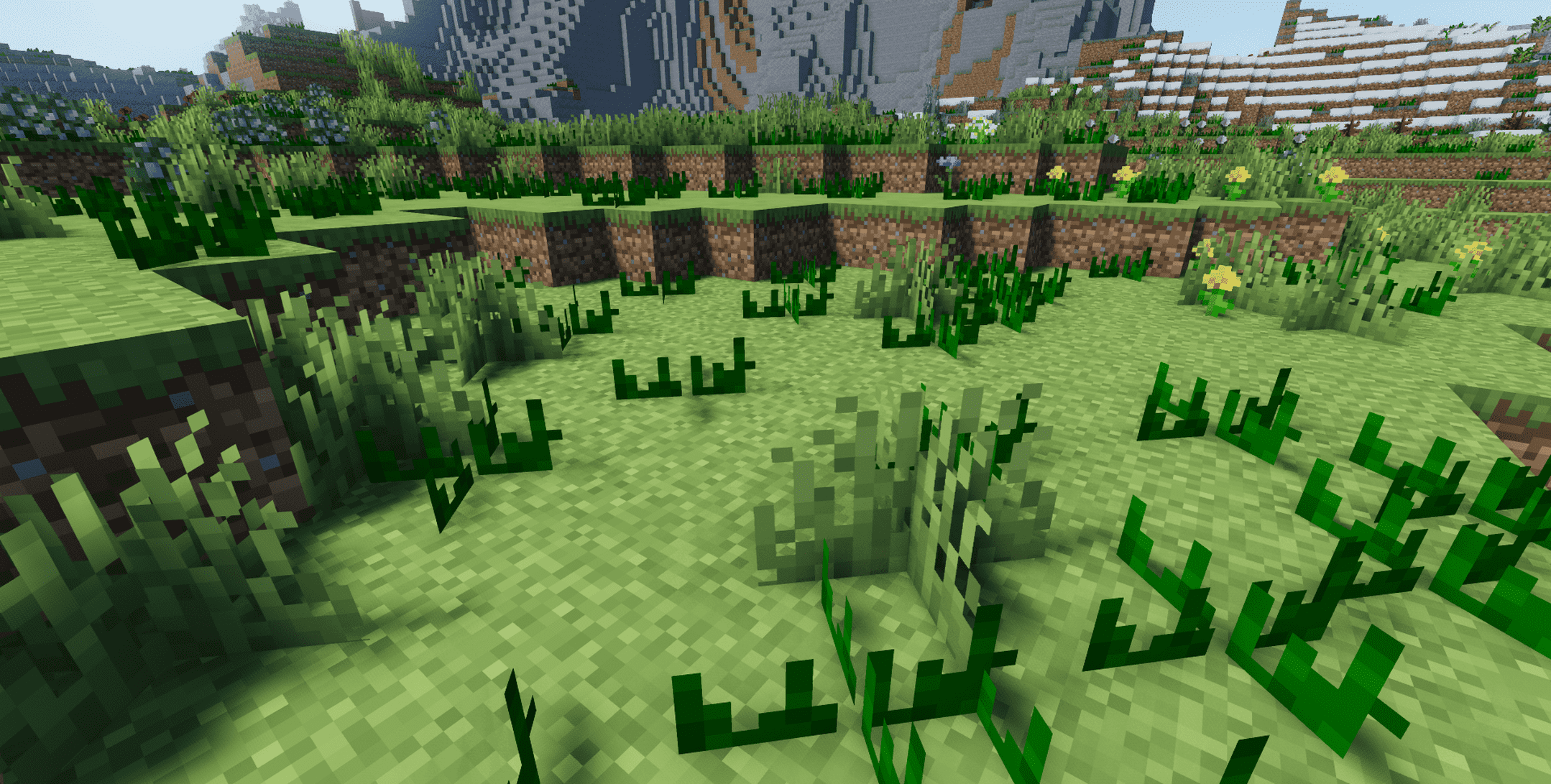 Wild Growth