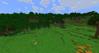 Wilderness