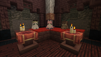Wizard's Reborn