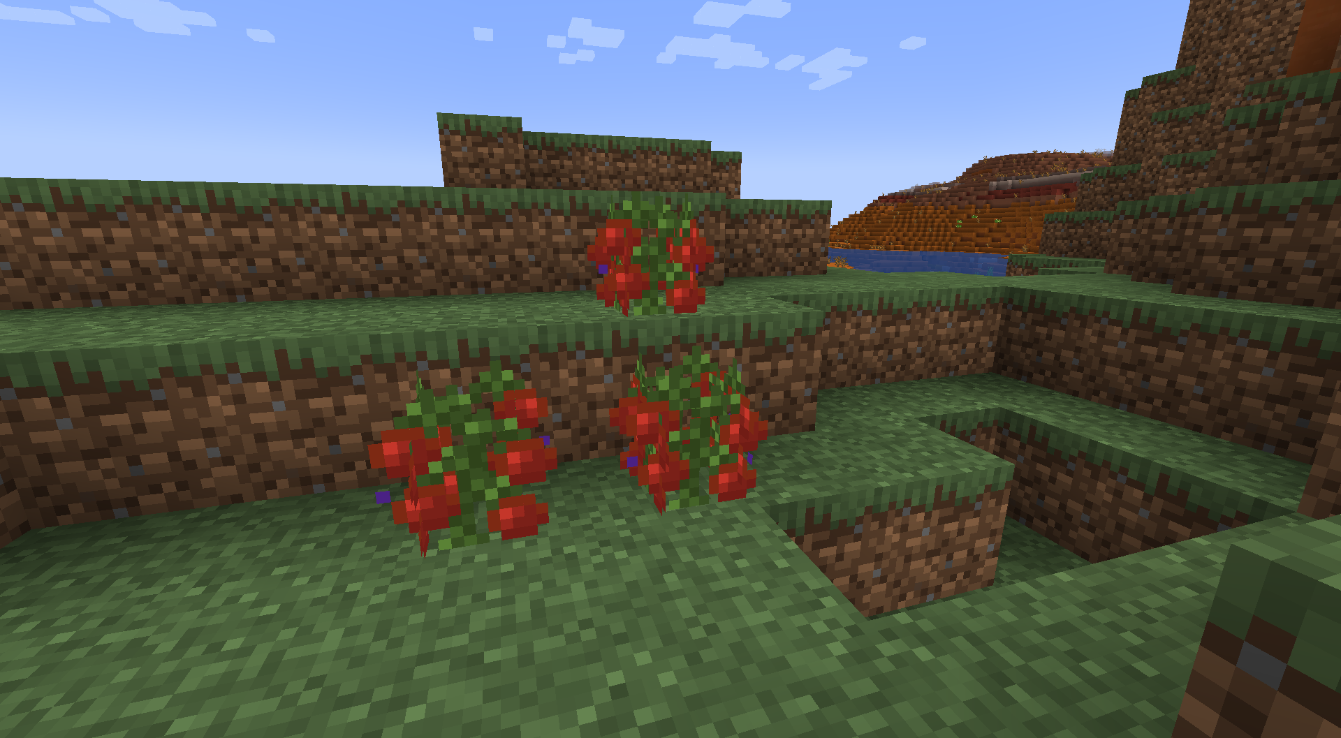 WKS - Wildplants 3