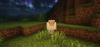 Wolf In Sheep's Clothing Dweller