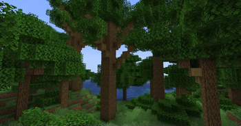 Woodlands:The Core