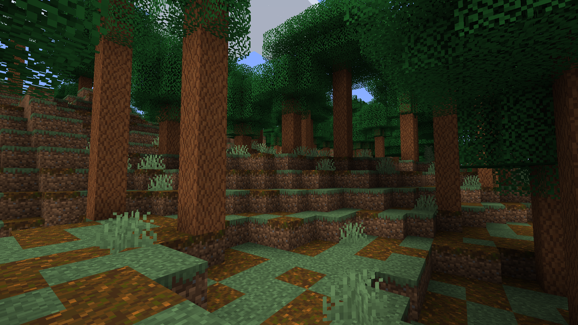 Woods and Mires