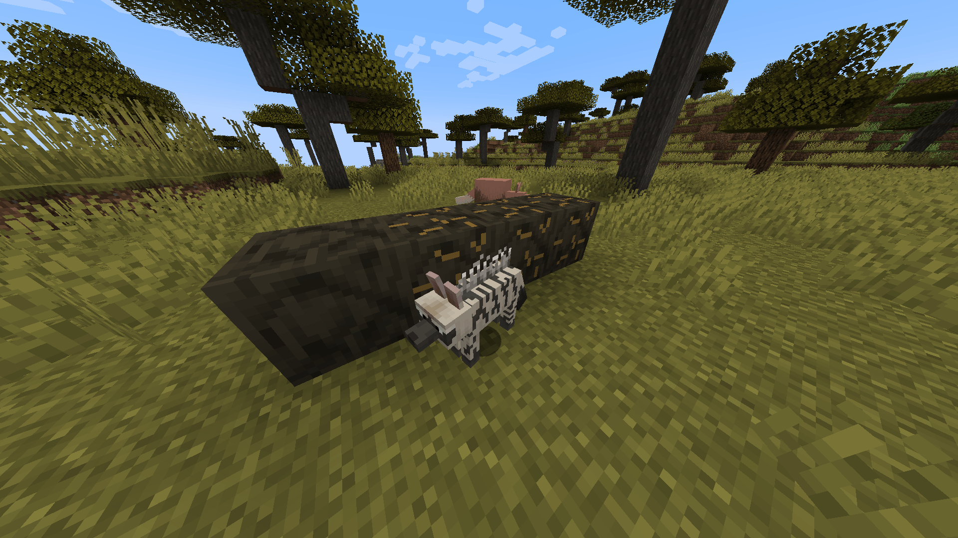 Zoological Mod: Decoration & Animal Collection